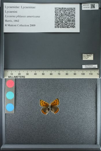 Media type: image;   Entomology 183780